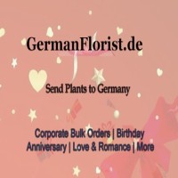 Plants to Germany at Absolutely Affordable Prices