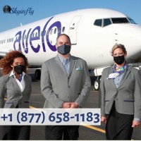  1 877 6581183 for Avelo Airlines Flight Booking